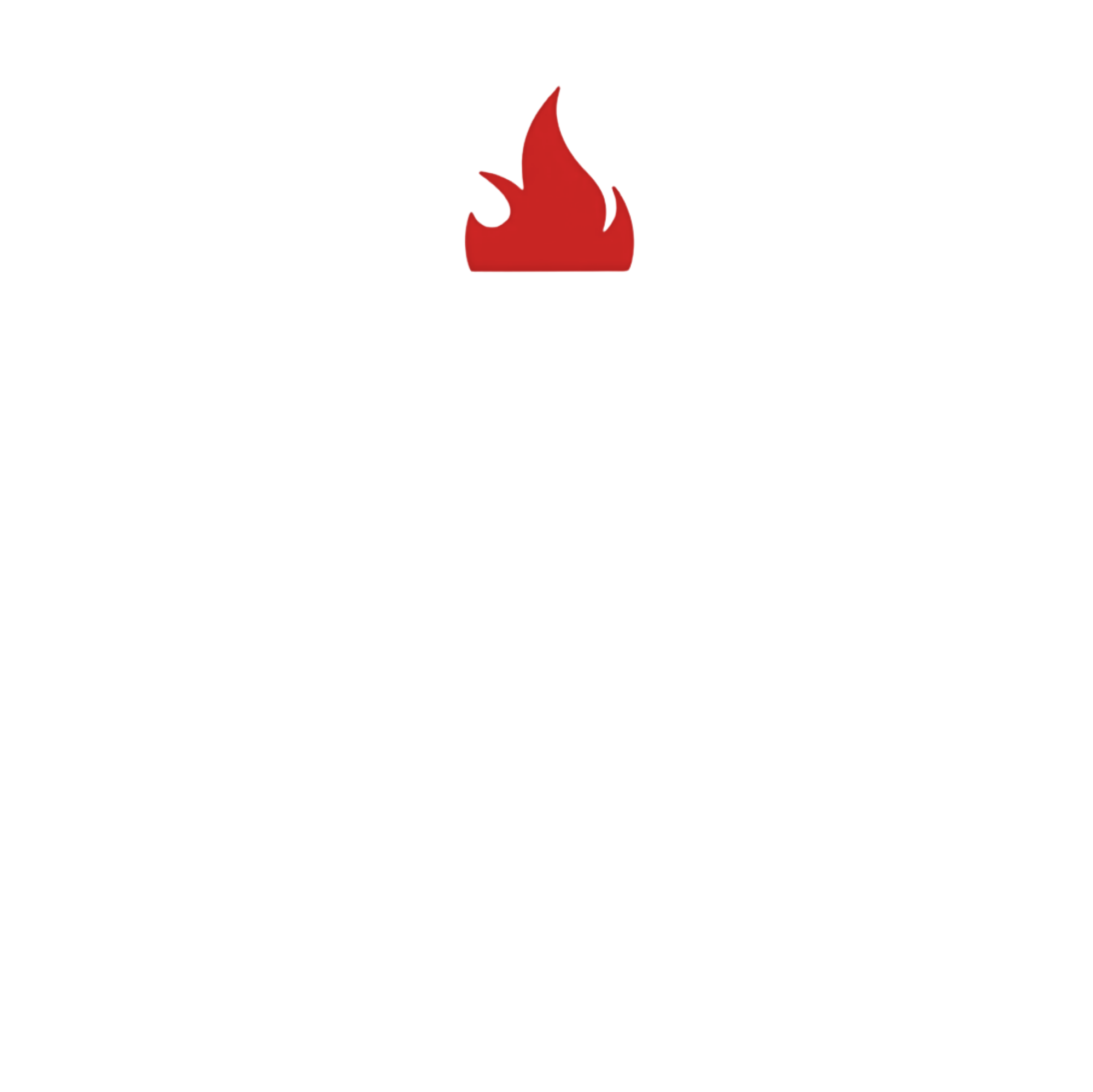 FIRE & SPICE BBQ